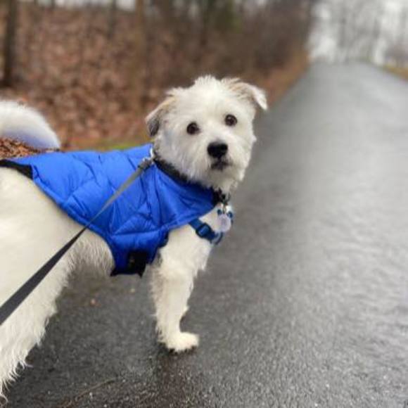 Meet your Posher, Jane - Picture 1 of 1